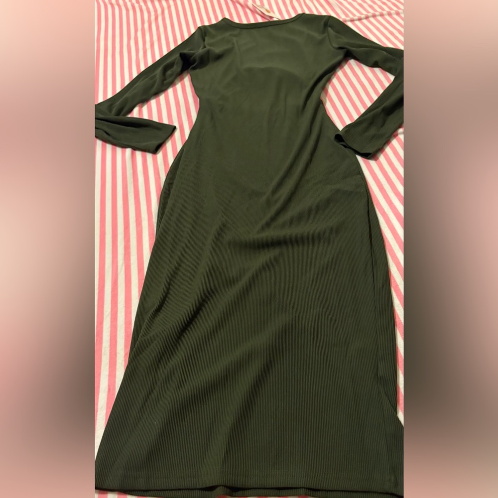 NWT Pretty GardenElegant Green Long Sleeve Dress